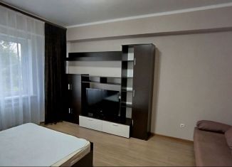 Сдам 1-ком. квартиру, 36 м2, Ессентуки, улица Шмидта, 78