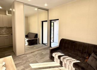 Аренда квартиры студии, 35 м2, Сочи, Теневой переулок, 138, микрорайон Мамайка