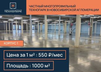 Сдаю в аренду производство, 1000 м2, Новосибирская область, Пасечная улица, 14к1