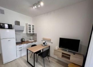 Продам квартиру студию, 26 м2, Санкт-Петербург, Манчестерская улица, 3к2, метро Пионерская