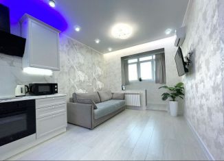 Сдаю квартиру студию, 30 м2, Краснодар, улица Героя Владислава Посадского, 17к2, Прикубанский округ