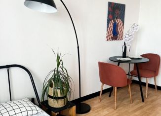 Квартира на продажу студия, 24.1 м2, Челябинск, улица Александра Шмакова, 10, Курчатовский район