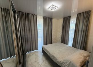 Двухкомнатная квартира в аренду, 55 м2, Сочи, улица Тимирязева, 38В, микрорайон Донская