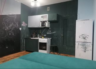 Сдаю в аренду квартиру студию, 26 м2, деревня Новое Девяткино, Флотская улица, 9