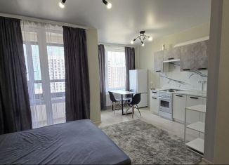 Сдам в аренду квартиру студию, 30 м2, Воронеж, Московский проспект, 132, Центральный район