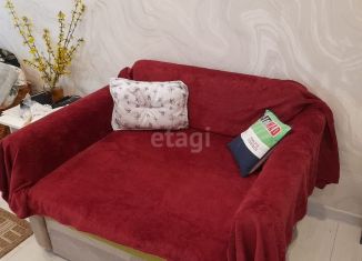 Сдам в аренду 1-ком. квартиру, 26.8 м2, посёлок Голубево, Изумрудная улица, 11