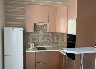 Продается квартира студия, 24.8 м2, Санкт-Петербург, метро Улица Дыбенко, улица Крыленко, 1к1с7