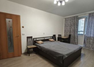 Сдам в аренду 1-ком. квартиру, 39 м2, Санкт-Петербург, улица Демьяна Бедного, 1к2, метро Гражданский проспект