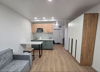 Сдаю в аренду квартиру студию, 23.6 м2, Москва, улица Михайлова, 30Ак2, ЮВАО