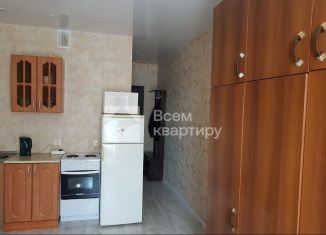 Продам квартиру студию, 21 м2, Новосибирск, Берёзовая улица, 19