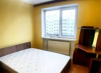 Сдам в аренду 2-комнатную квартиру, 46.5 м2, Санкт-Петербург, Комендантский проспект, 18, метро Пионерская