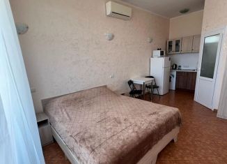 Квартира в аренду студия, 19 м2, поселок городского типа Заозерное, улица Аллея Дружбы, 14к23