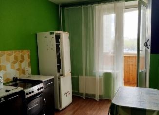1-комнатная квартира в аренду, 43 м2, Санкт-Петербург, улица Латышских Стрелков, 15к3, метро Проспект Большевиков