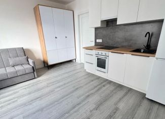 Продам квартиру студию, 22.7 м2, посёлок Парголово, Михайловская дорога, 14к1