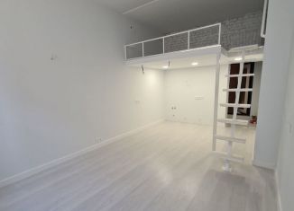 Продам квартиру студию, 20 м2, Санкт-Петербург, улица Декабристов, 27, метро Сенная площадь