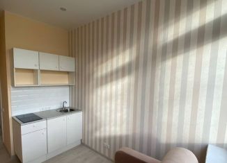 Продажа квартиры студии, 10.6 м2, Москва, Космодамианская набережная, 4/22кВ, метро Новокузнецкая