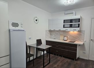 Сдаю квартиру студию, 20 м2, Санкт-Петербург, Муринская дорога, 31к3, метро Гражданский проспект