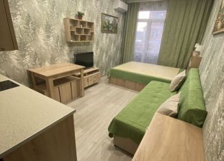 Квартира на продажу студия, 24 м2, Горячий Ключ, Рябиновая улица, 2Вк2