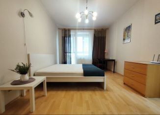 Сдается 1-ком. квартира, 38 м2, Санкт-Петербург, улица Беринга, 1, метро Приморская