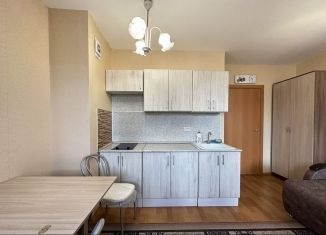 Сдаю квартиру студию, 21 м2, посёлок Парголово, Толубеевский проезд, 24