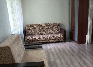 1-комнатная квартира на продажу, 31.4 м2, Нижний Новгород, улица Адмирала Васюнина, 4к1, Советский район