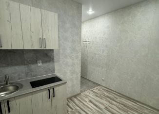 Продам квартиру студию, 13 м2, Нижний Новгород, Витебская улица, 54, Канавинский район