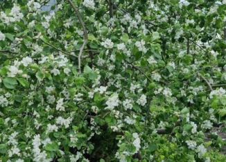 Продам дом, 88.3 м2, Омск, Советский округ