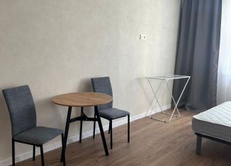 Сдается квартира студия, 27 м2, Республика Башкортостан, улица Николая Ковалёва, 1