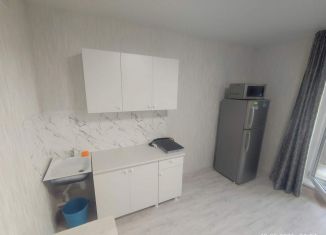 Сдаю в аренду квартиру студию, 24 м2, Челябинск, улица Маршала Чуйкова, 26