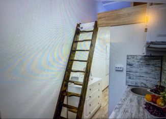Продам квартиру студию, 19 м2, Санкт-Петербург, 10-я Советская улица, 19, муниципальный округ Смольнинское