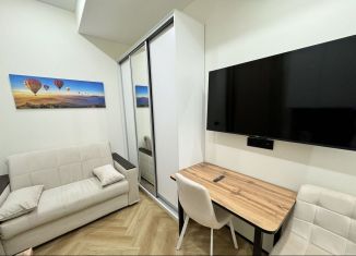 Сдается в аренду квартира студия, 13 м2, Москва, 1-я Муравская улица, дв45