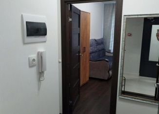 Продаю квартиру студию, 24.4 м2, Санкт-Петербург, муниципальный округ Волковское, Тосина улица, 6