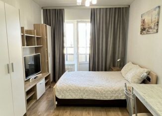 Сдам в аренду квартиру студию, 26 м2, Санкт-Петербург, проспект Ветеранов, 171к2, метро Проспект Ветеранов