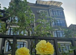 Продам помещение свободного назначения, 55.5 м2, Махачкала, улица Надежды, 4А