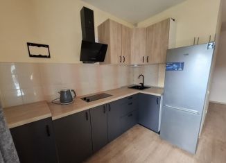 Продажа квартиры студии, 24 м2, Екатеринбург, метро Проспект Космонавтов, улица Народного Фронта, 59