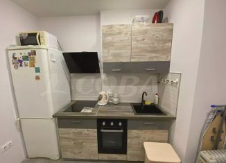 Квартира в аренду студия, 25 м2, Тюмень, Интернациональная улица, 199к6, ЖК Авиатор