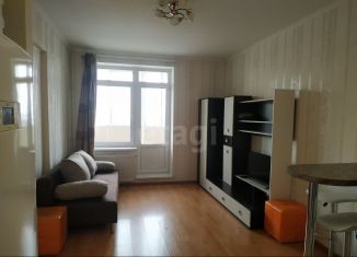 Сдам в аренду квартиру студию, 30 м2, Санкт-Петербург, улица Руставели, 60, метро Гражданский проспект