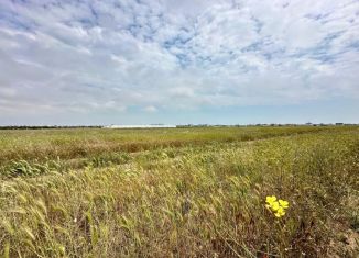 Продам земельный участок, 1000 сот., село Уютное, улица Мира, 1