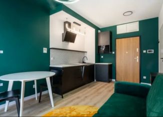 Продам квартиру студию, 24 м2, Санкт-Петербург, улица Лётчика Пилютова, 44к1, Красносельский район