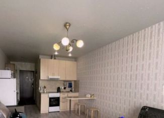 Продажа квартиры студии, 21.3 м2, Москва, улица Юных Ленинцев, 55, ЮВАО