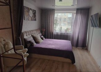 Сдача в аренду двухкомнатной квартиры, 83 м2, Новосибирск, Степная улица, 63/1, Ленинский район