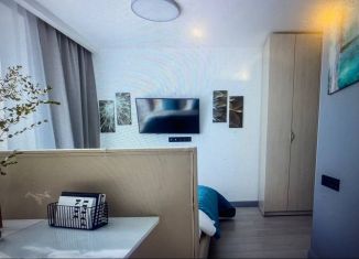 Квартира на продажу студия, 21 м2, Санкт-Петербург, Английский проспект, 26, Адмиралтейский район
