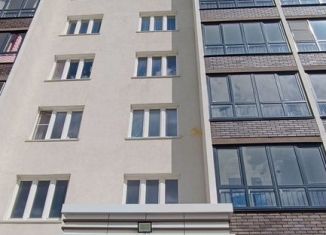 Сдается в аренду квартира студия, 44 м2, Новосибирск, улица Забалуева, 96, метро Площадь Маркса
