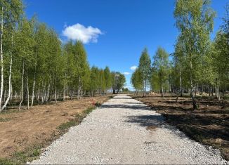 Продажа земельного участка, 6 сот., поселок Владимировка, Васильковая улица