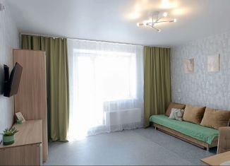 Сдаю квартиру студию, 25 м2, Челябинск, Набережная улица, 7Г