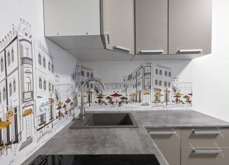 Сдается в аренду квартира студия, 25 м2, Санкт-Петербург, Верхне-Каменская улица, 11к1, Приморский район