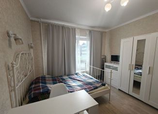 Квартира на продажу студия, 18 м2, Москва, улица Маршала Ерёменко, 5к5, метро Некрасовка