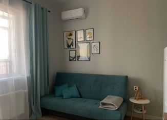 Аренда квартиры студии, 30 м2, Краснодар, улица Ивана Беличенко, 101