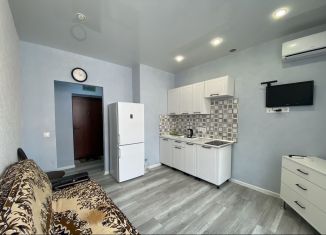 Квартира на продажу студия, 24 м2, Краснодар, улица Западный Обход, 39/2к3, ЖК Самолёт