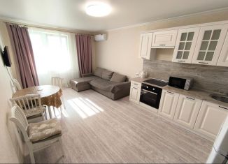 Сдача в аренду 2-ком. квартиры, 43 м2, Краснодар, Душистая улица, 25, микрорайон Молодёжный